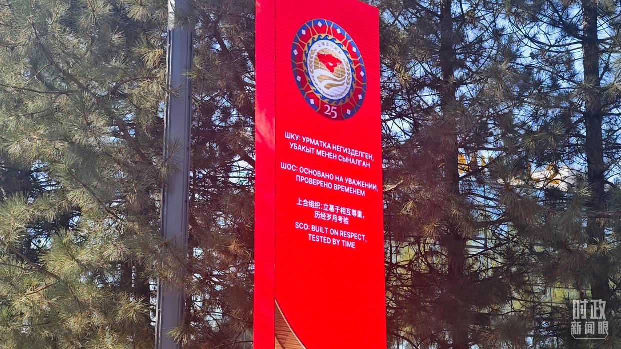 时政新闻眼丨推动上合组织实现更高质量发展,习近平为何强调这句话?