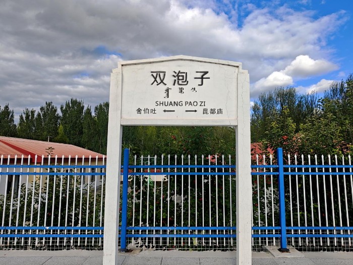 通辽新答卷丨一束马兰花,为何在草原铁路绽放四十年? 通辽新答卷丨一束马兰花,为何在草原铁路绽放四十年?