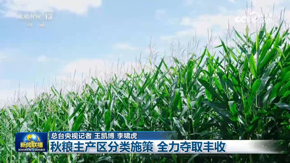 秋粮主产区分类施策 全力夺取丰收