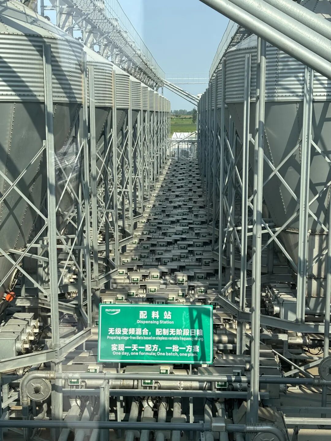 来河南,看丰景 | 活力中国调研行