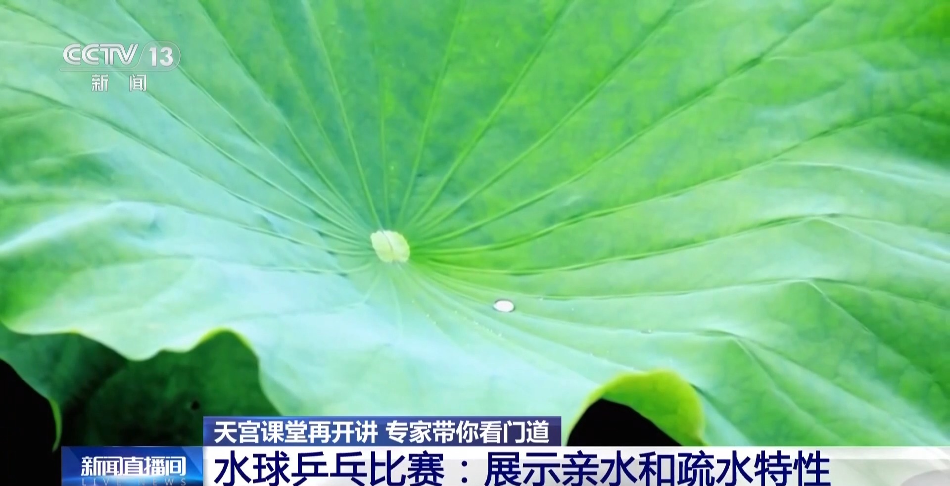 视频丨天宫课堂再开讲!太空拧湿毛巾、水球乒乓藏着哪些科学原理