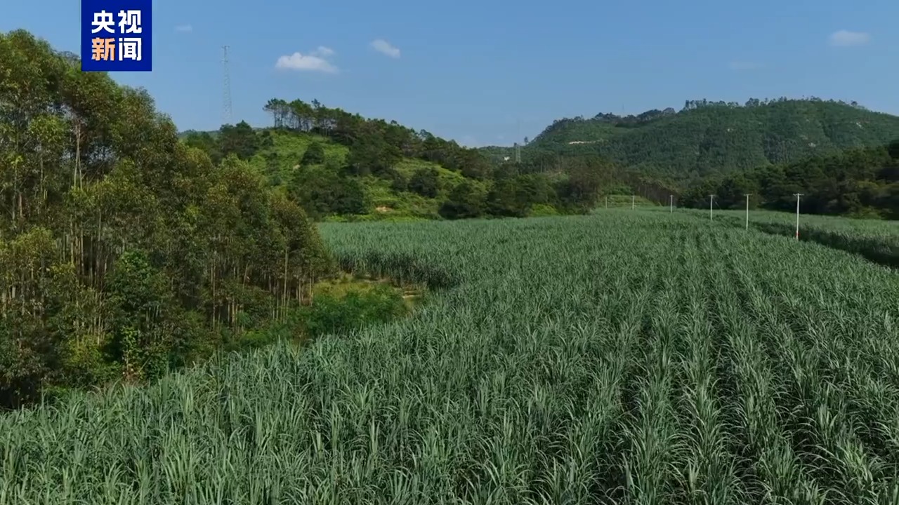 视频丨探访马道枢纽 看平陆运河超级船闸里的精密巧思
