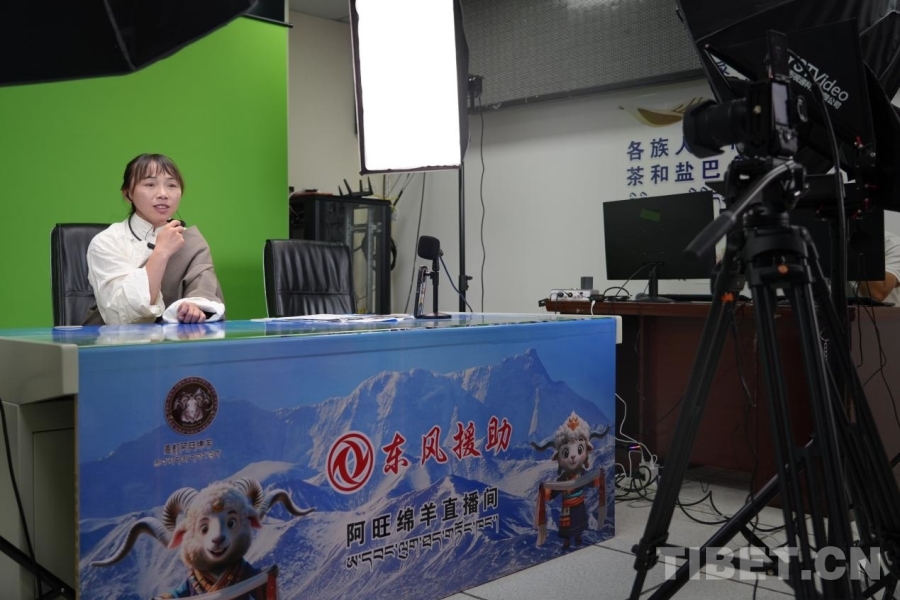 【石榴花开 籽籽同心】阿旺绵羊产业链上的贡觉力量