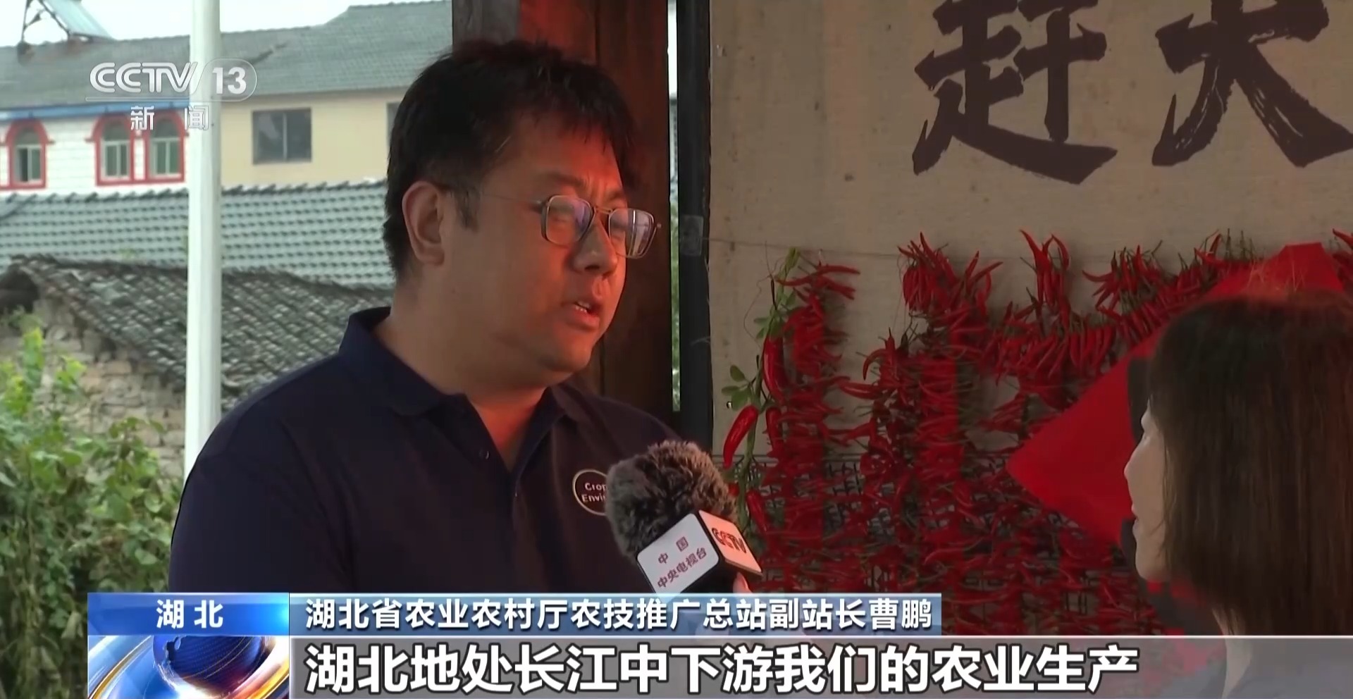活力中国调研行丨解码农业“育种芯片” 科技创新改变农业生产