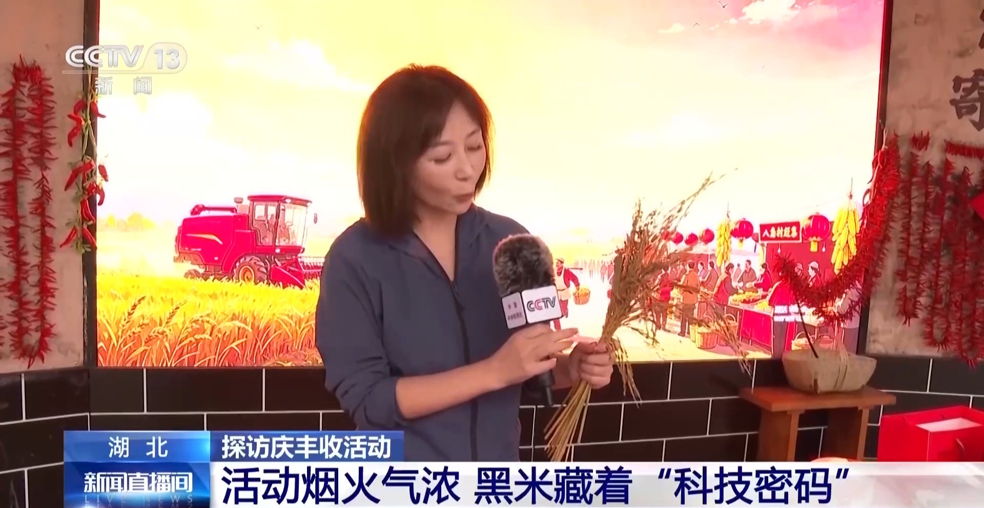 活力中国调研行丨解码农业“育种芯片” 科技创新改变农业生产