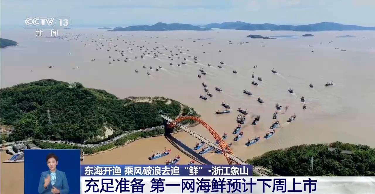 视频丨东海开渔 乘风破浪去追“鲜”