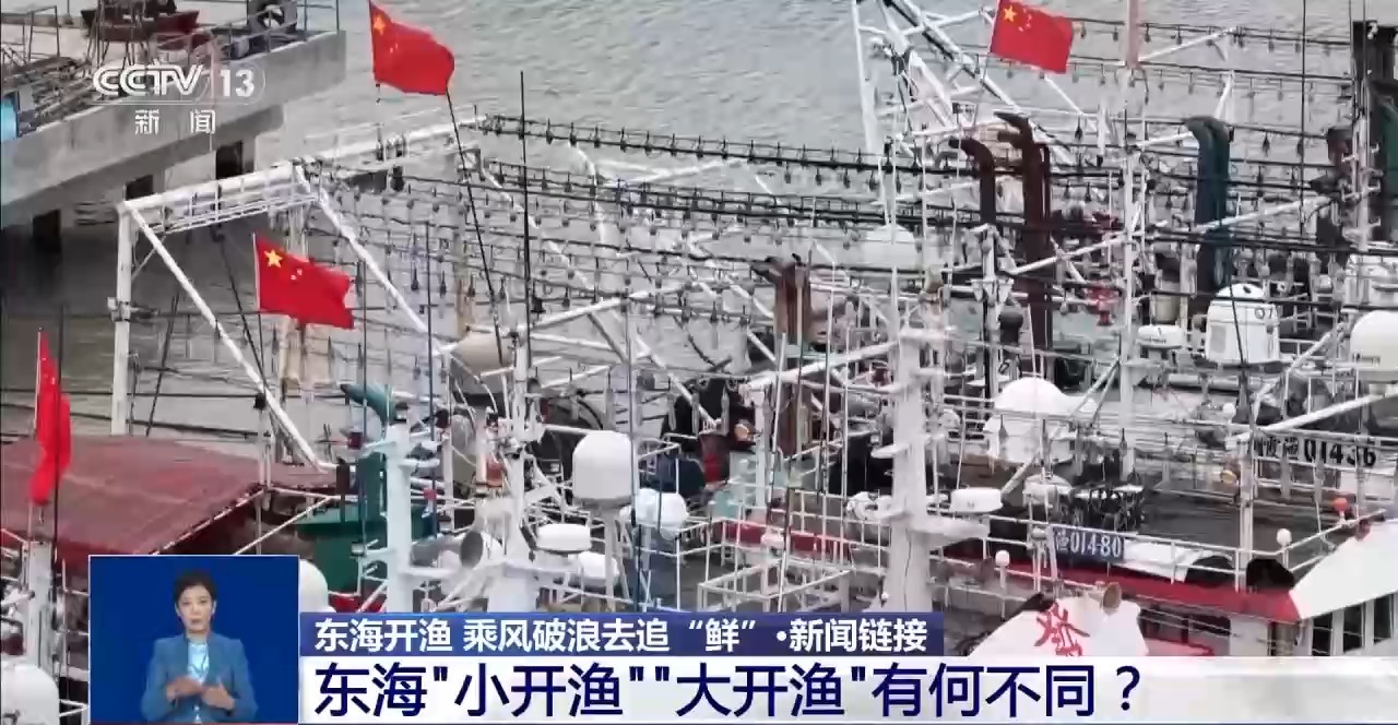 视频丨东海开渔 乘风破浪去追“鲜”