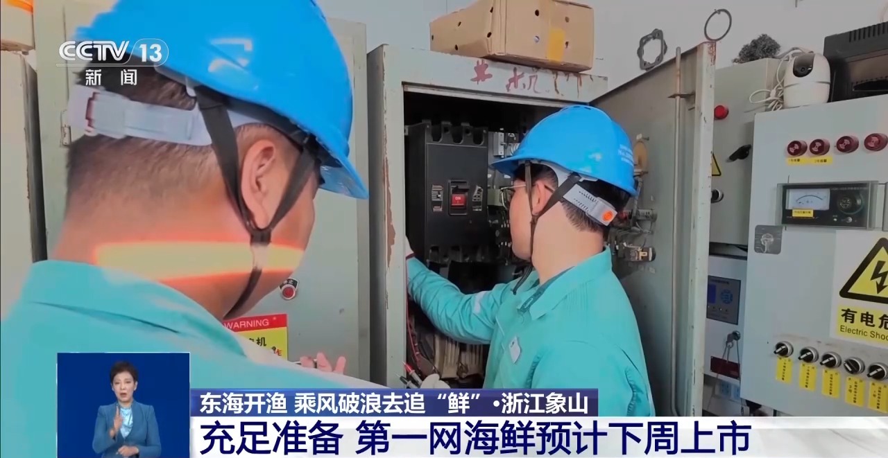 视频丨东海开渔 乘风破浪去追“鲜”