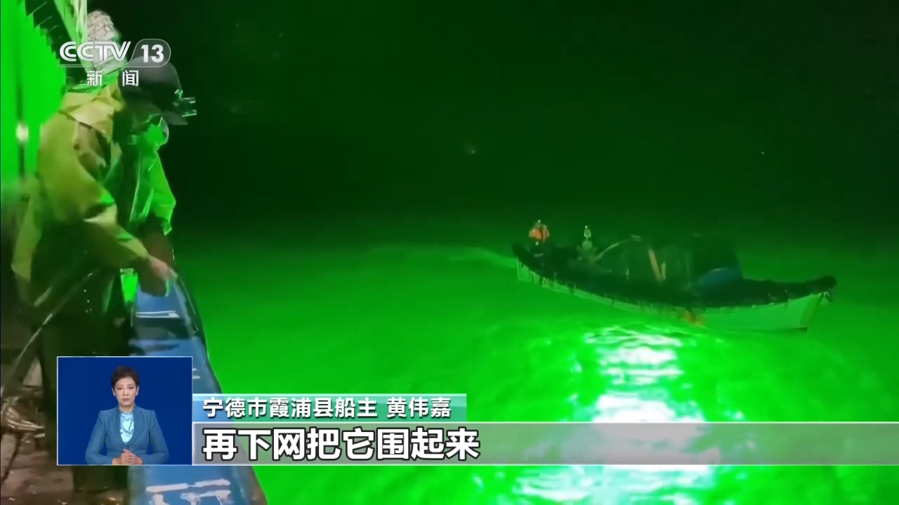 视频丨东海开渔 乘风破浪去追“鲜”
