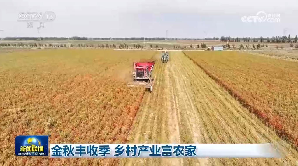 金秋丰收季 乡村产业富农家