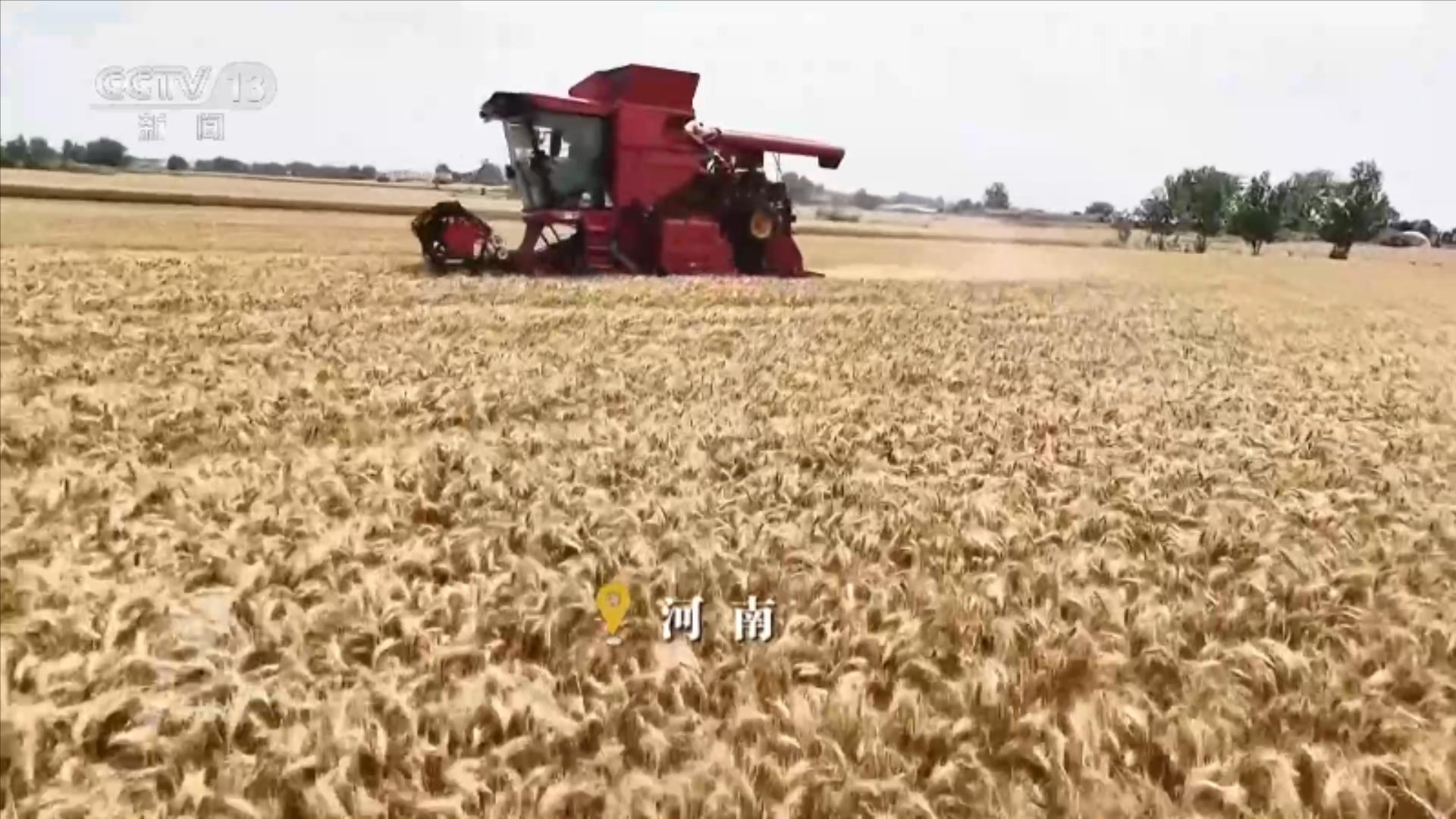 焦点访谈|活力中国调研行:田野金黄、瓜果飘香 近距离感受“乡村活力”