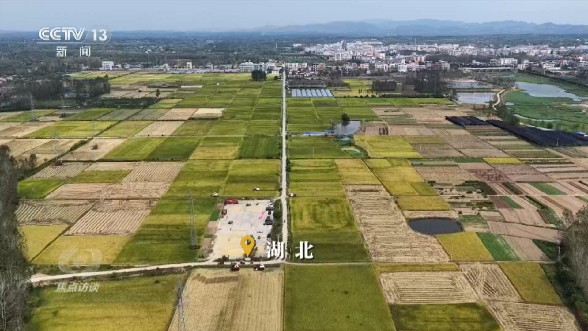 焦点访谈|活力中国调研行:田野金黄、瓜果飘香 近距离感受“乡村活力”