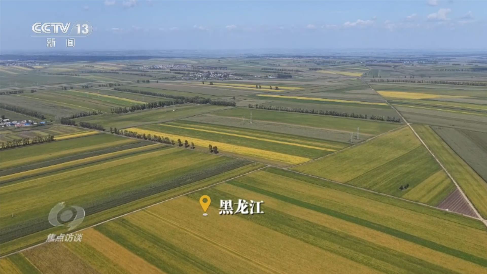 焦点访谈|活力中国调研行:田野金黄、瓜果飘香 近距离感受“乡村活力”