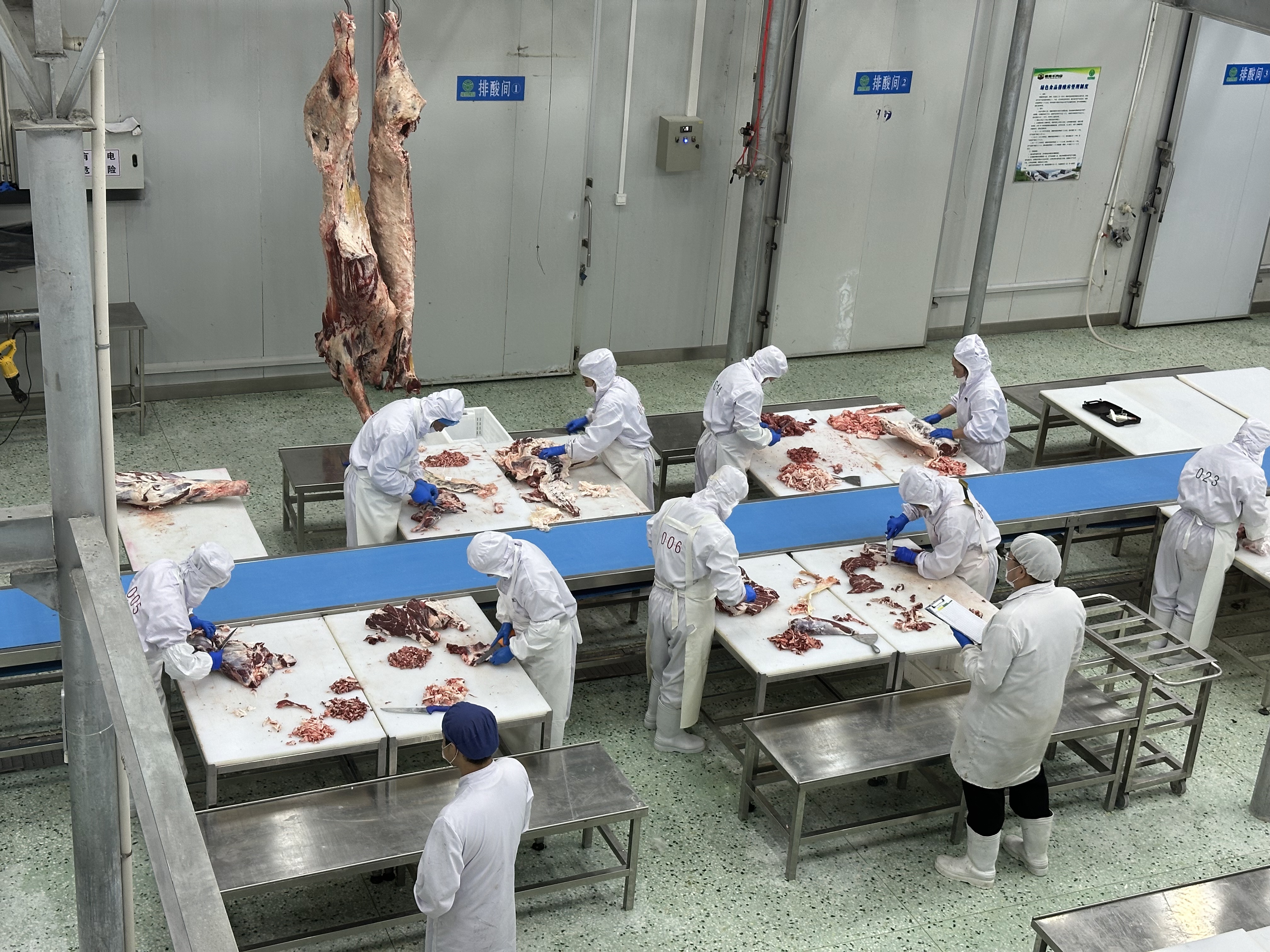 活力中国调研行|黑土地上的“链式跃迁”——黑龙江畜牧业高质量发展观察 活力中国调研行|黑土地上的“链式跃迁”——黑龙江畜牧业高质量发展观察