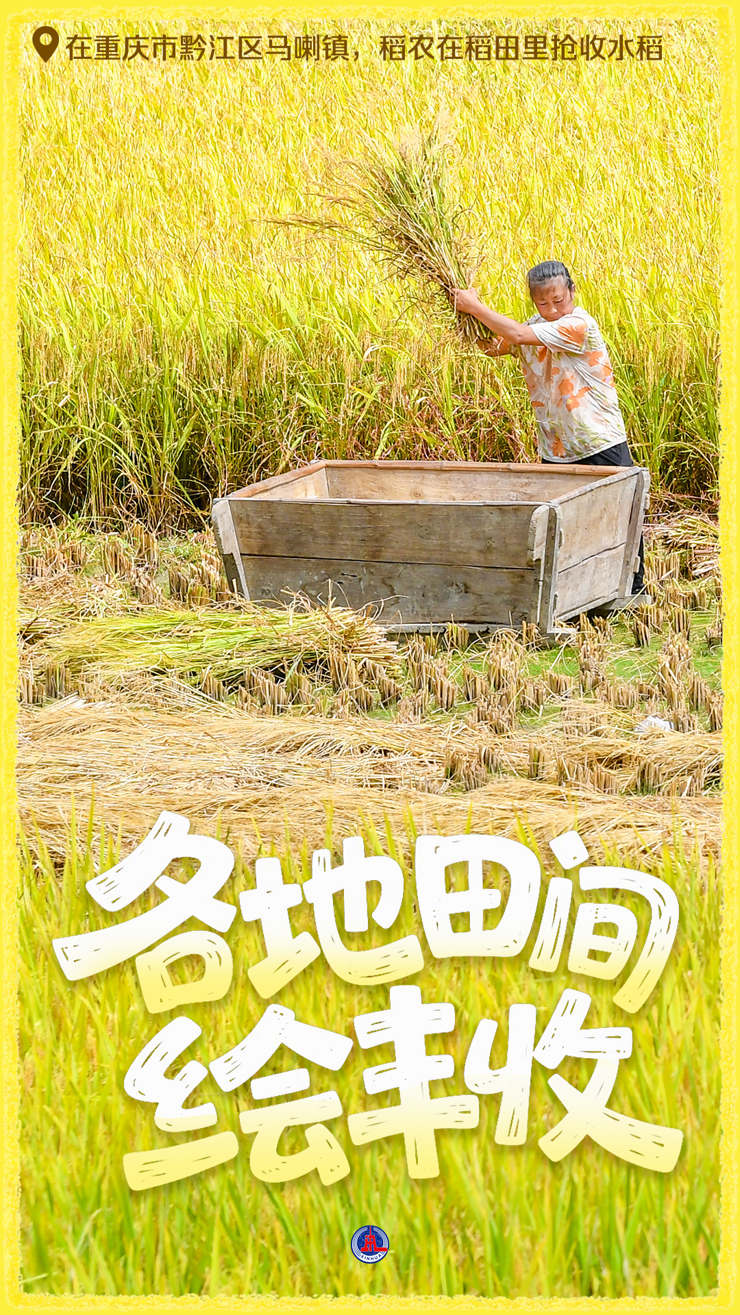 粮满田畴 耕耘未来——礼赞“十五五”开局丰收图景