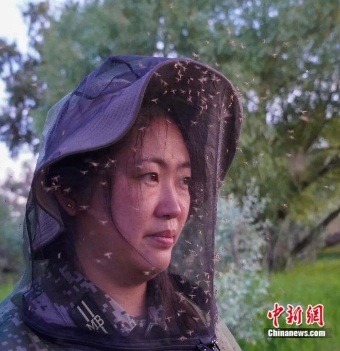 三代人坚守“蚊虫王国”，新疆兵团讲解员：“因为这里的每一寸土地，都是中国的！”