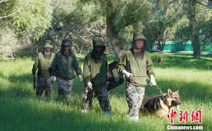 三代人坚守“蚊虫王国”，新疆兵团讲解员：“因为这里的每一寸土地，都是中国的！”