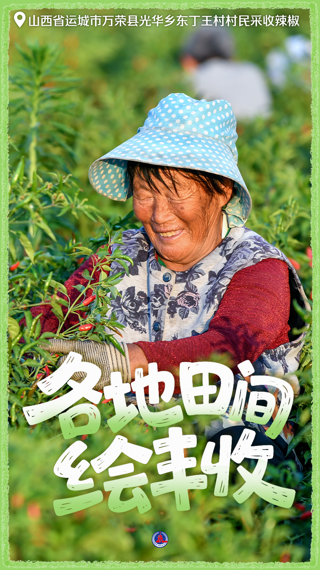 粮满田畴 耕耘未来——礼赞“十五五”开局丰收图景