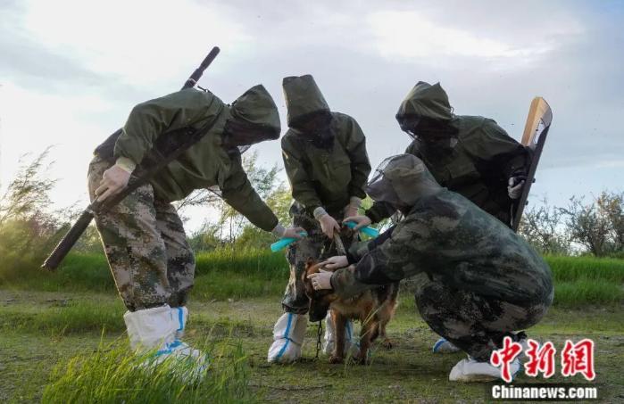 三代人坚守“蚊虫王国”，新疆兵团讲解员：“因为这里的每一寸土地，都是中国的！”