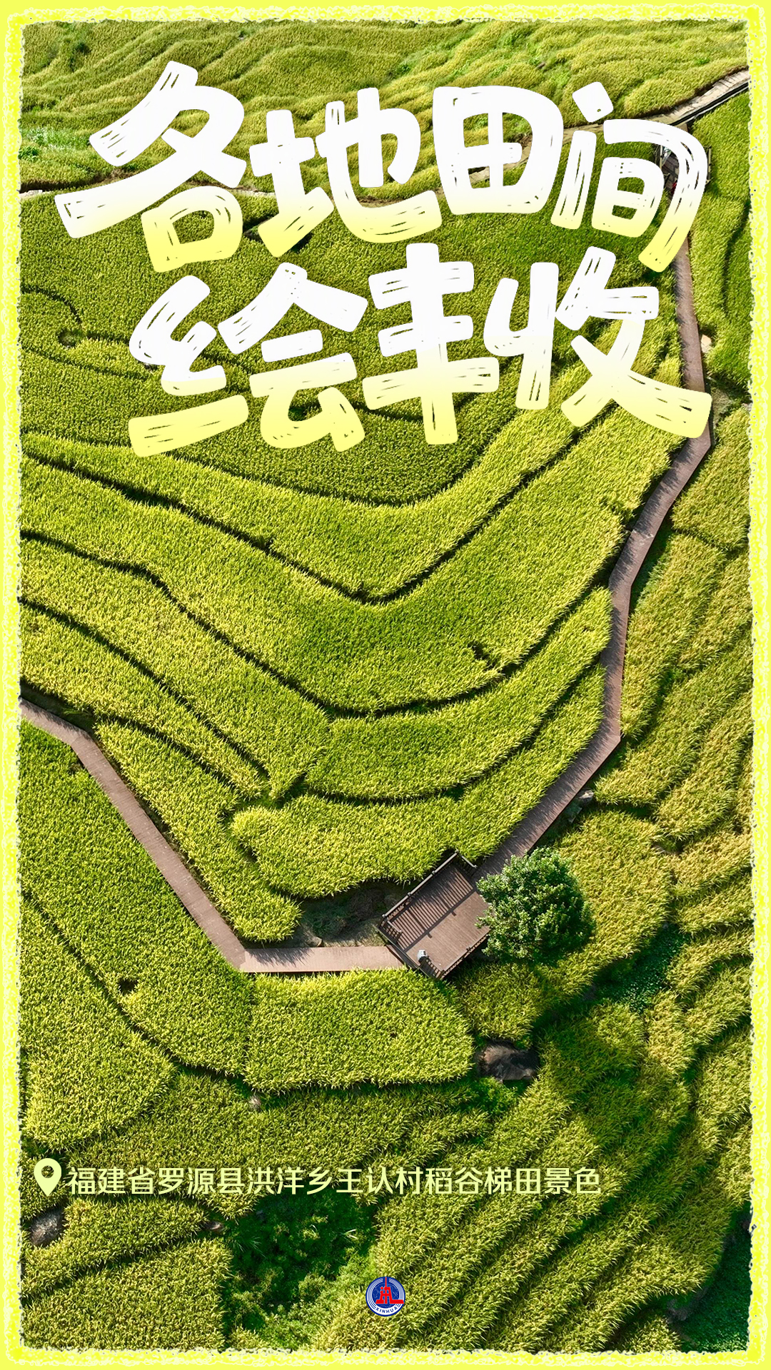 粮满田畴 耕耘未来——礼赞“十五五”开局丰收图景