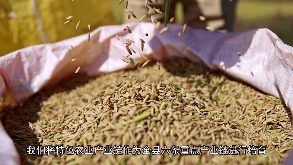 新华视点丨在“红飘带”起点续写“新长征故事”