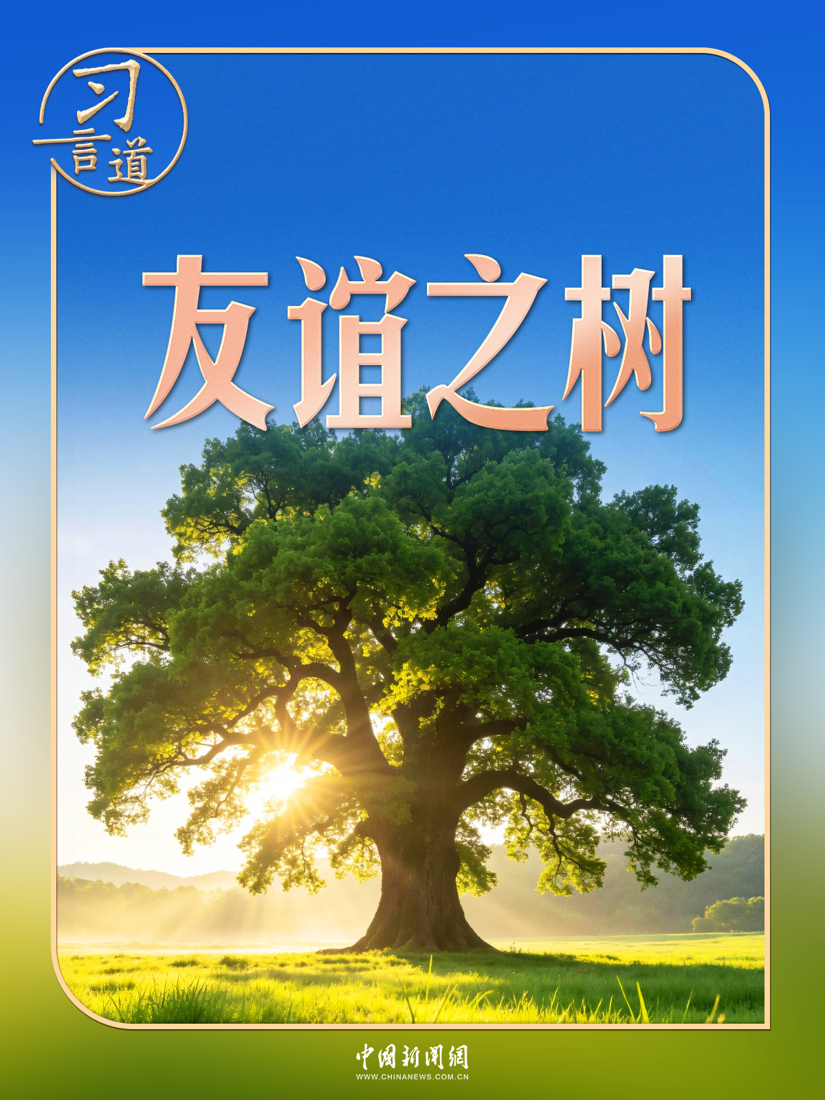 习言道|在白宫,习近平提到了一棵树和一片林