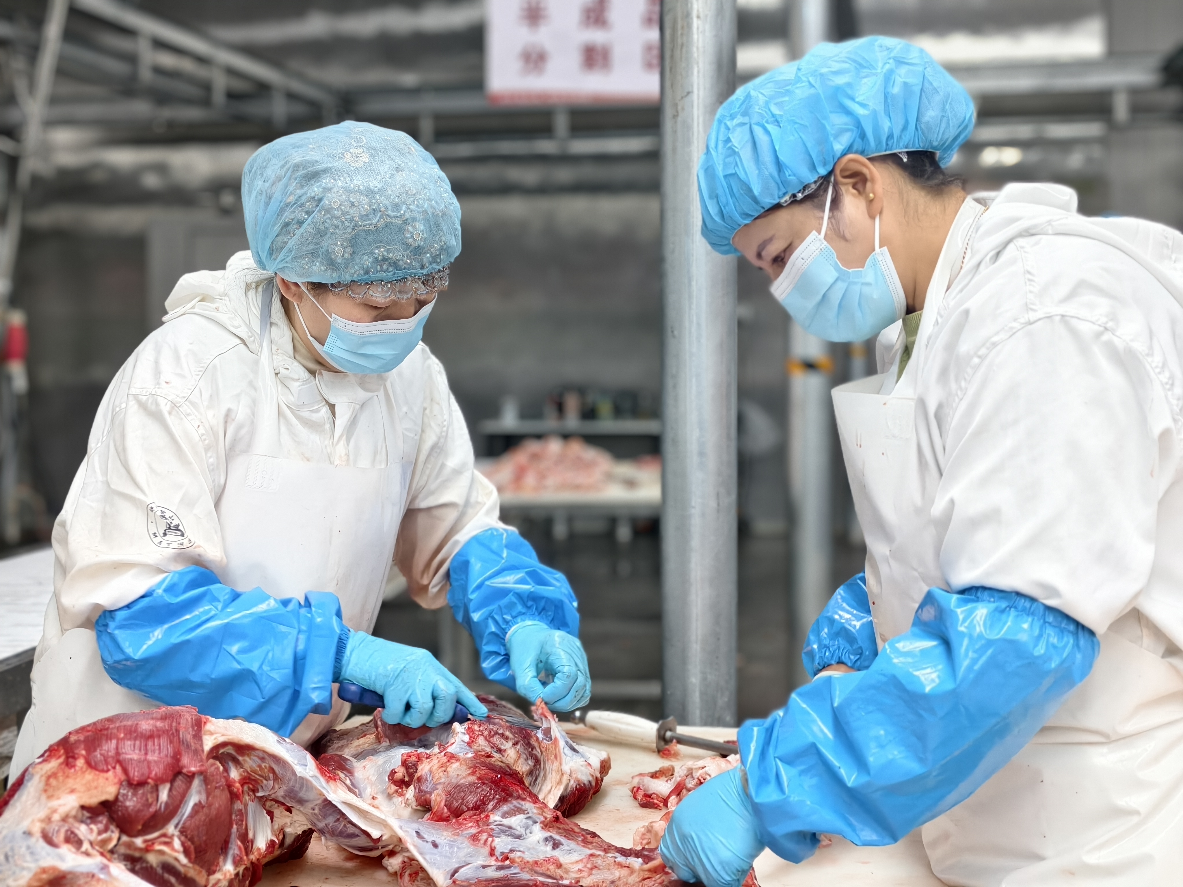 不到30小时,宁夏牛肉“直奔”长三角餐桌 |活力中国调研行