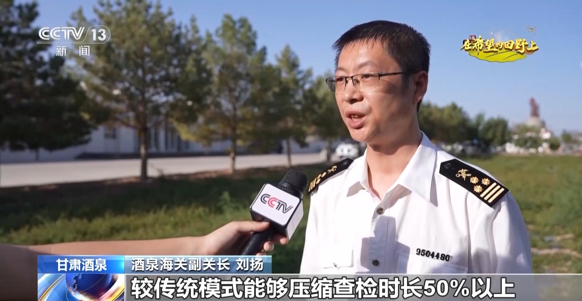 视频丨全国草本花卉种子70%来自这里 一粒好种子如何采收?