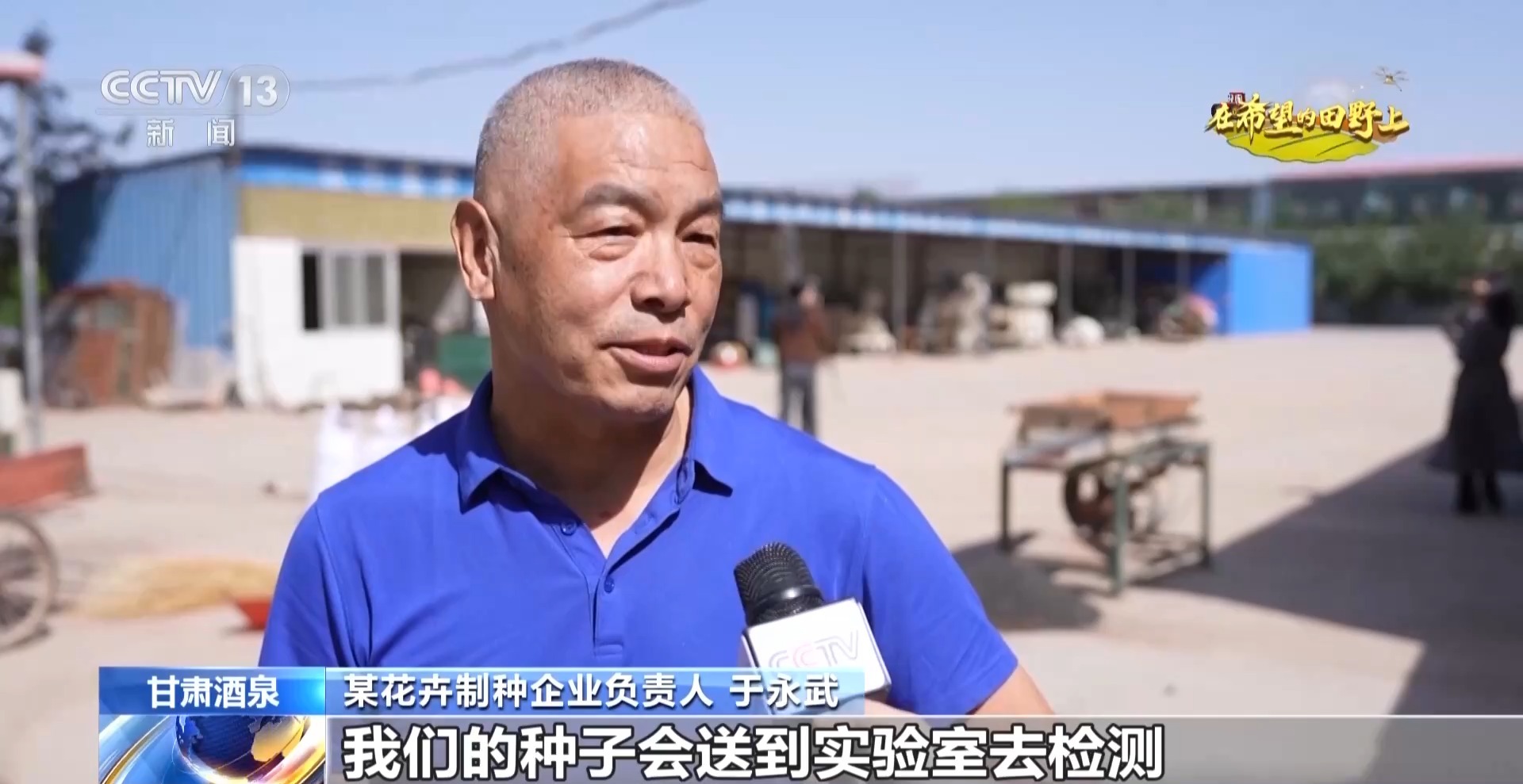视频丨全国草本花卉种子70%来自这里 一粒好种子如何采收?