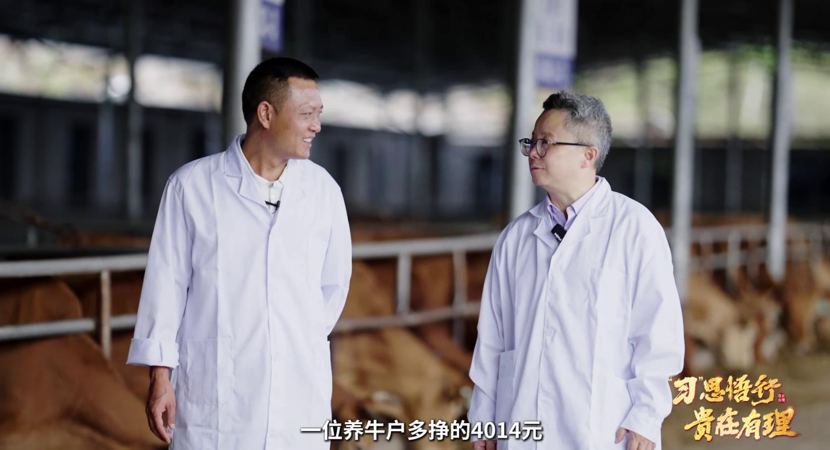 贵在有理丨桥的两头是人民