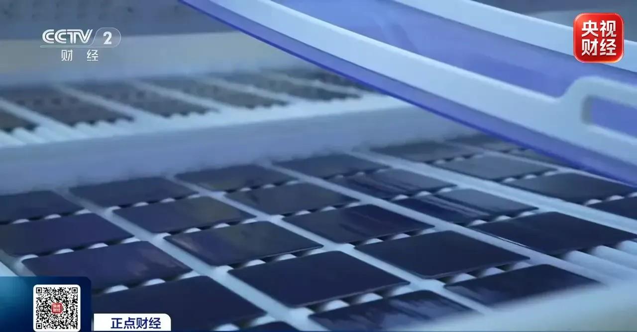 “一根丝”拉动整条产业链 前8个月工业利润“黑马”是它