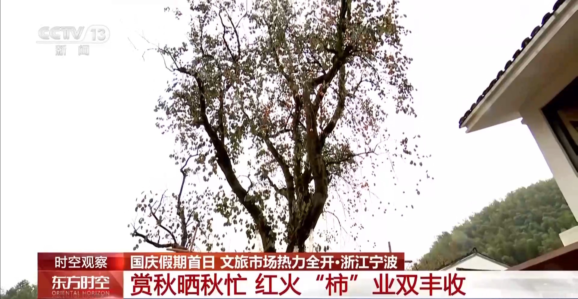 国庆假期去哪玩?各地文旅市场热力全开