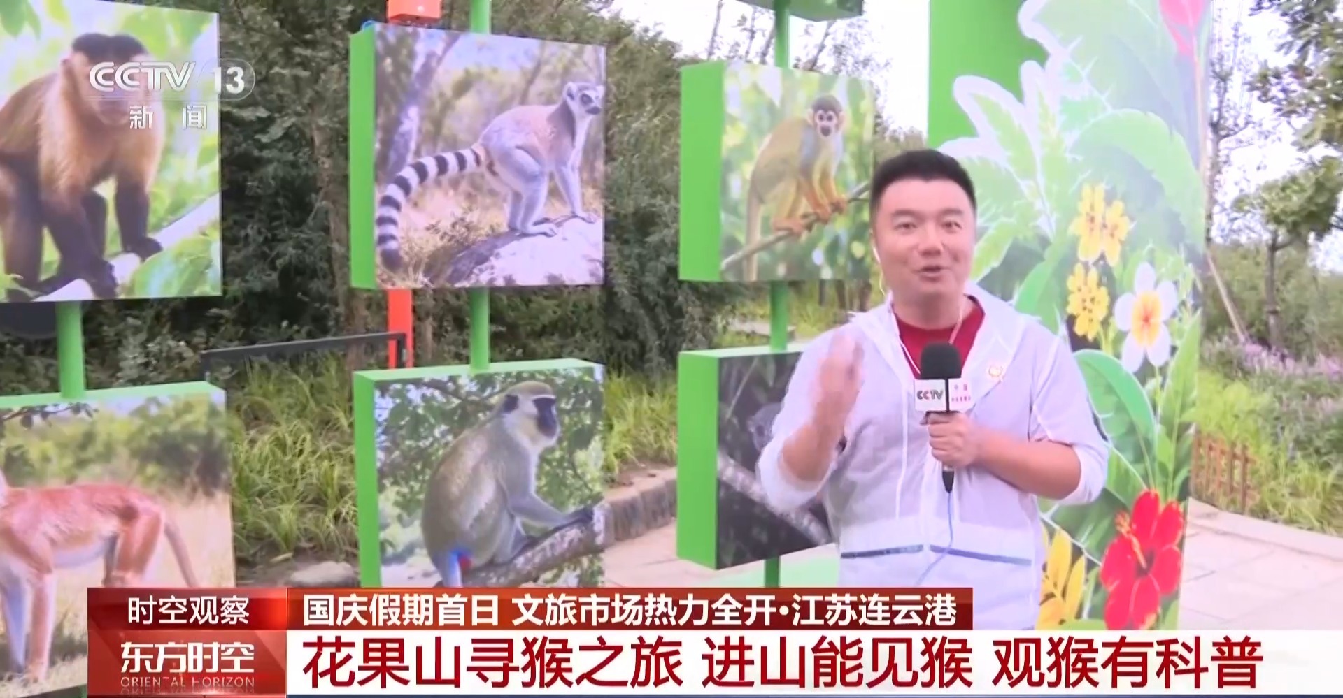 国庆假期去哪玩?各地文旅市场热力全开