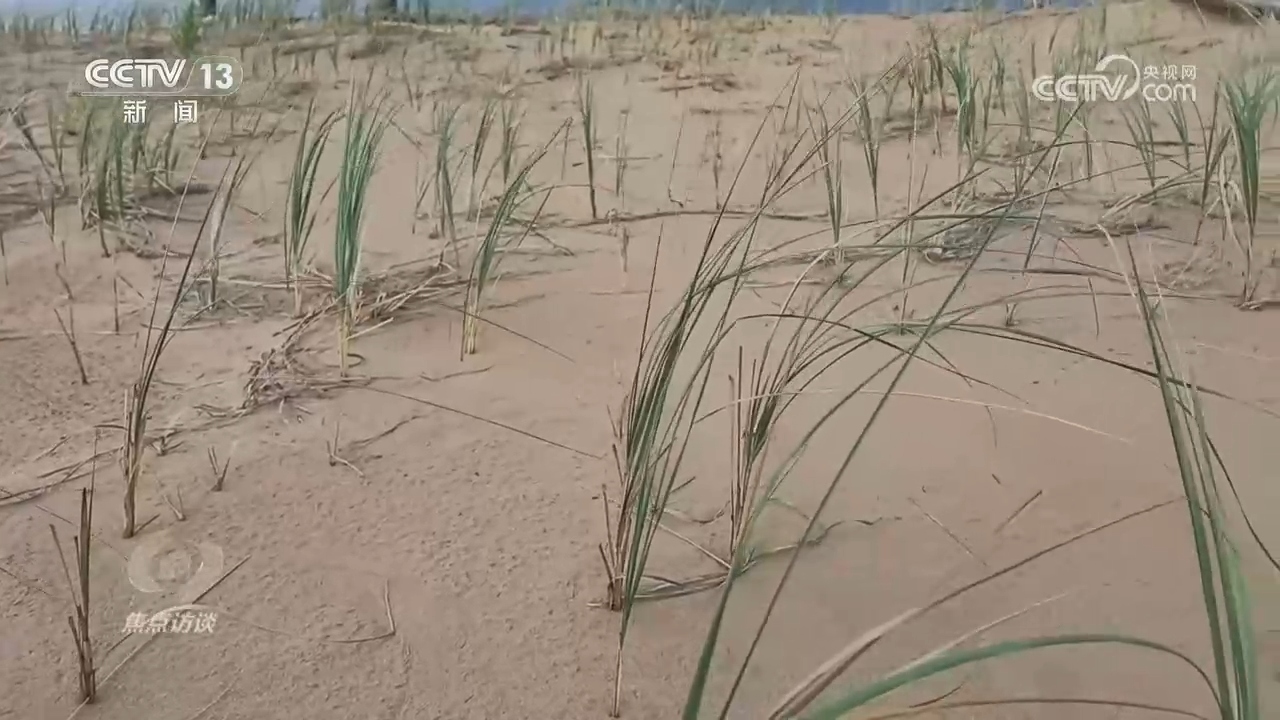 焦点访谈|从雪山草地到治沙一线 长征精神永不褪色