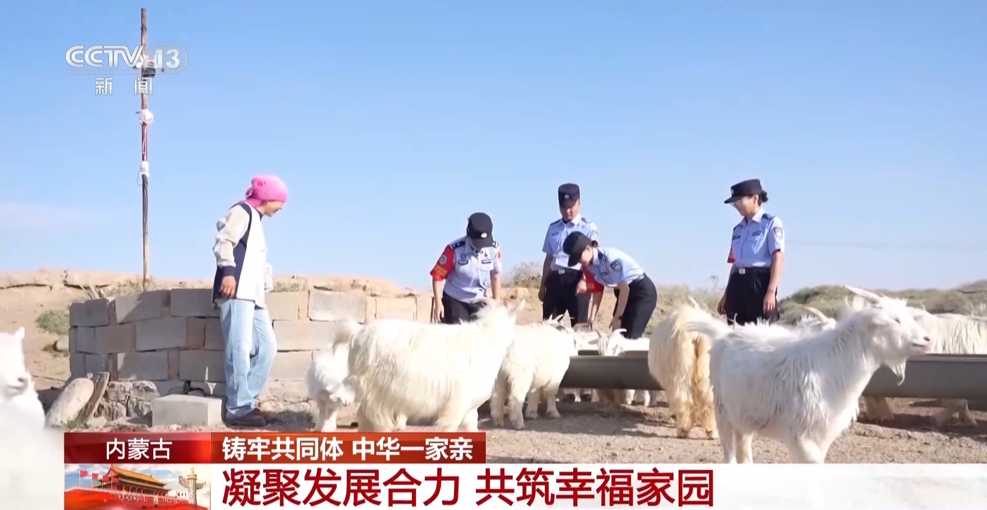 视频丨同心筑梦促团结 内蒙古推动各族群众深度交融
