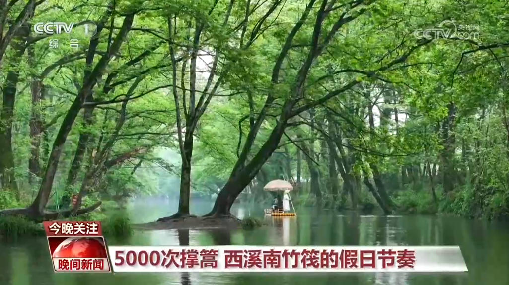 数说假日中国|小航程里的大活力