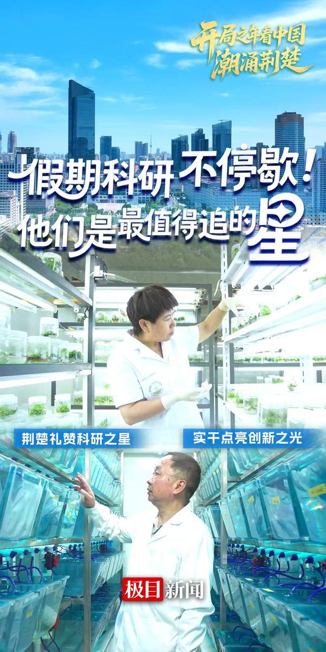 开局之年看中国 潮涌荆楚|他们是最值得追的星