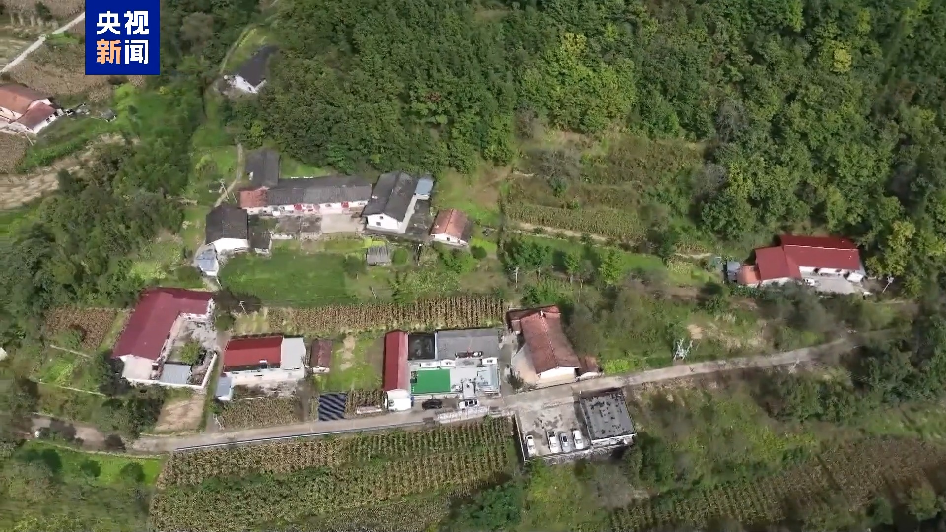 一线调研丨从“头痛医头”到全域统筹 六网交织托举起万家灯火