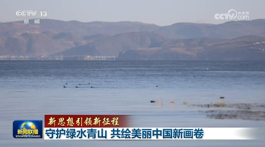 【新思想引领新征程】守护绿水青山 共绘美丽中国新画卷
