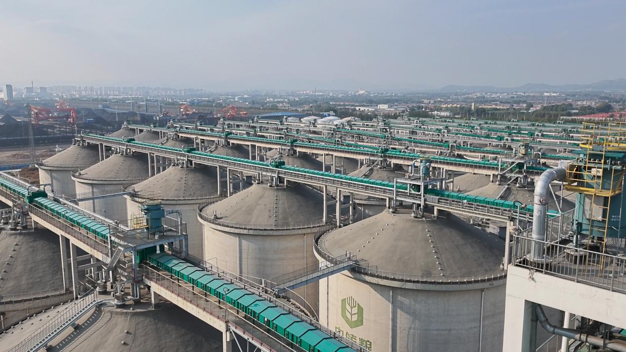 开局之年看中国|在燕赵大地读懂粮食安全的中国密码