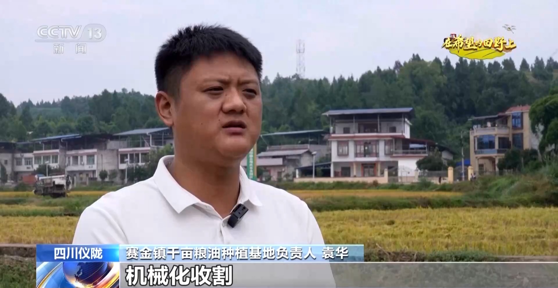 从稻田到油茶林 多地迎来秋收好“丰”景