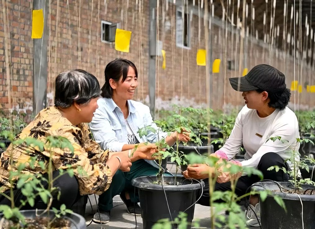 和总书记面对面·长征特辑丨每一代人都要走好自己的长征路