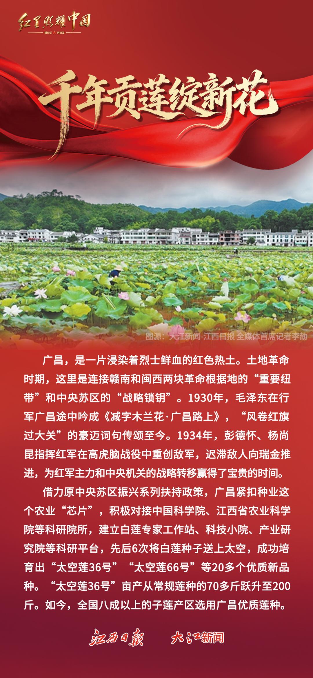 红星照耀中国丨赓续红土血脉 书写老区振兴新答卷