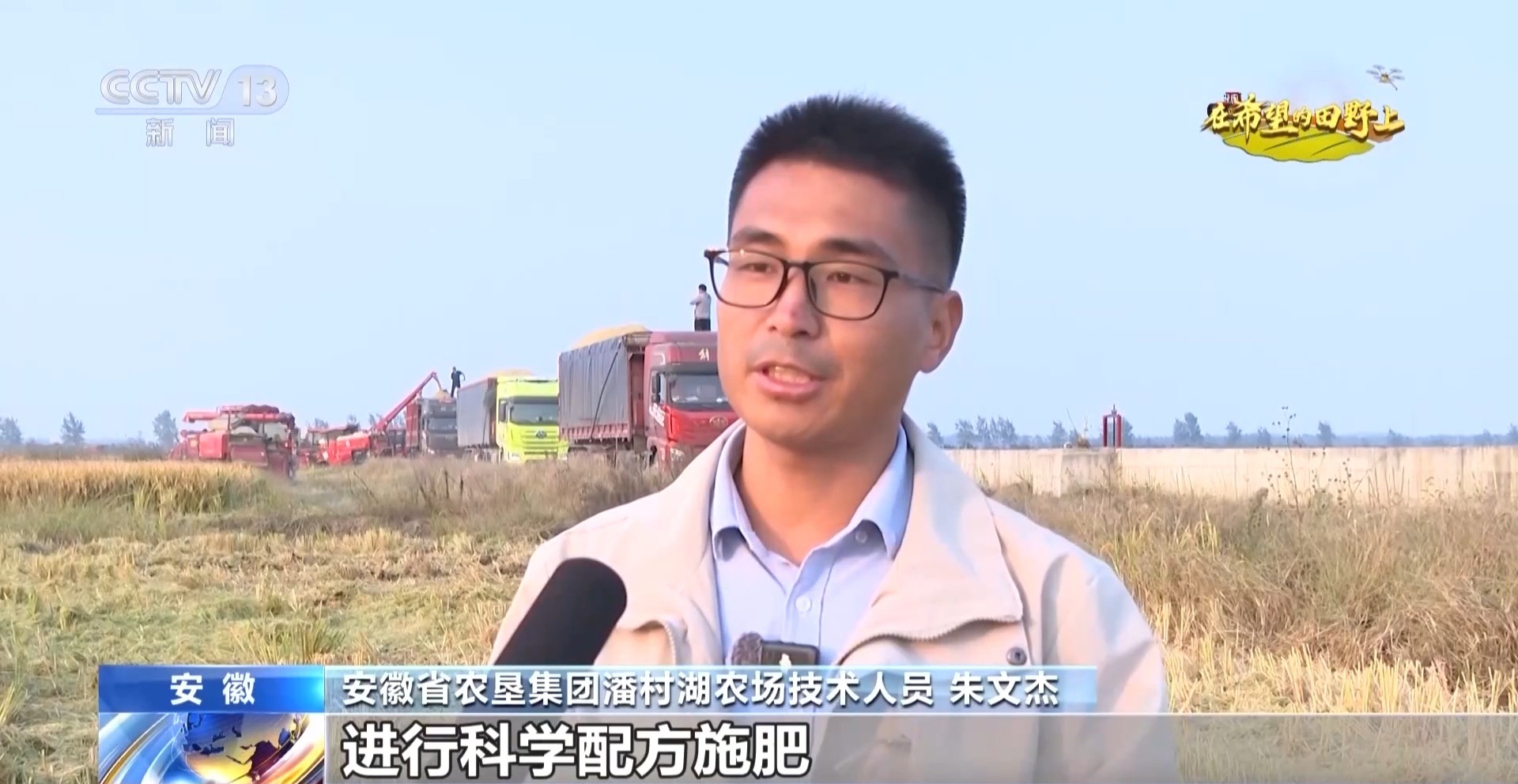 从稻田到油茶林 多地迎来秋收好“丰”景