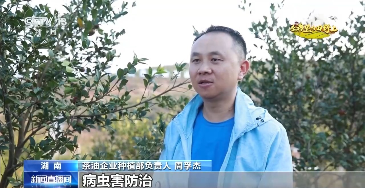从稻田到油茶林 多地迎来秋收好“丰”景