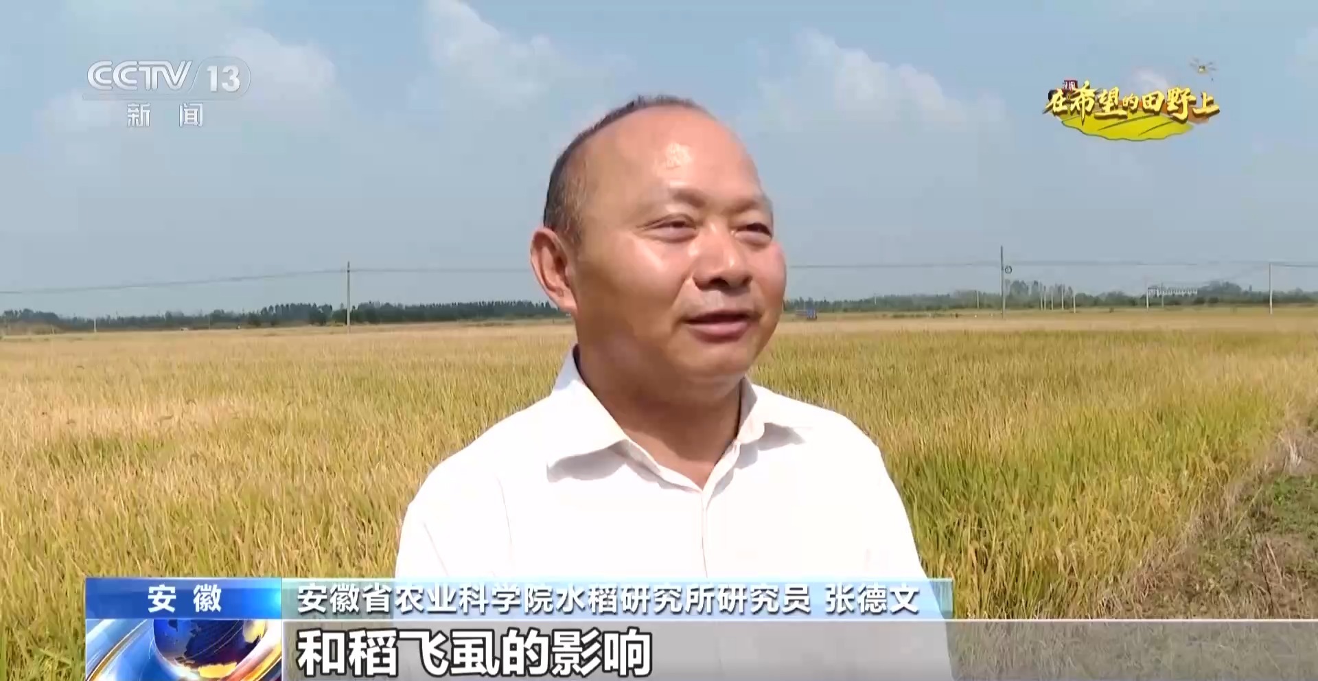 从稻田到油茶林 多地迎来秋收好“丰”景