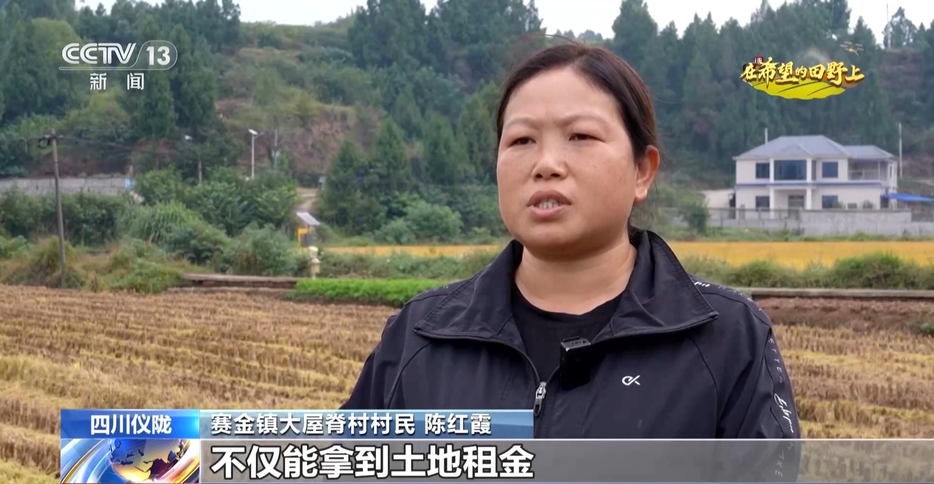 从稻田到油茶林 多地迎来秋收好“丰”景