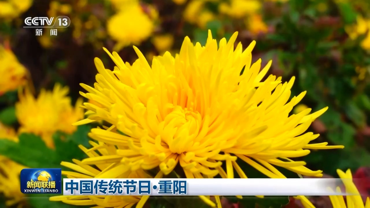 视频丨九九重阳 久久情长