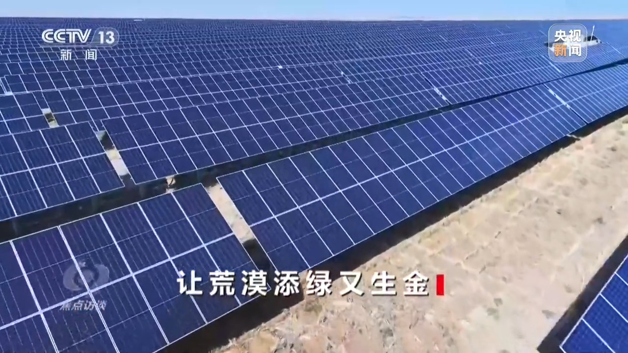 焦点访谈丨让荒漠添绿又生金 看“三北”的生态蝶变