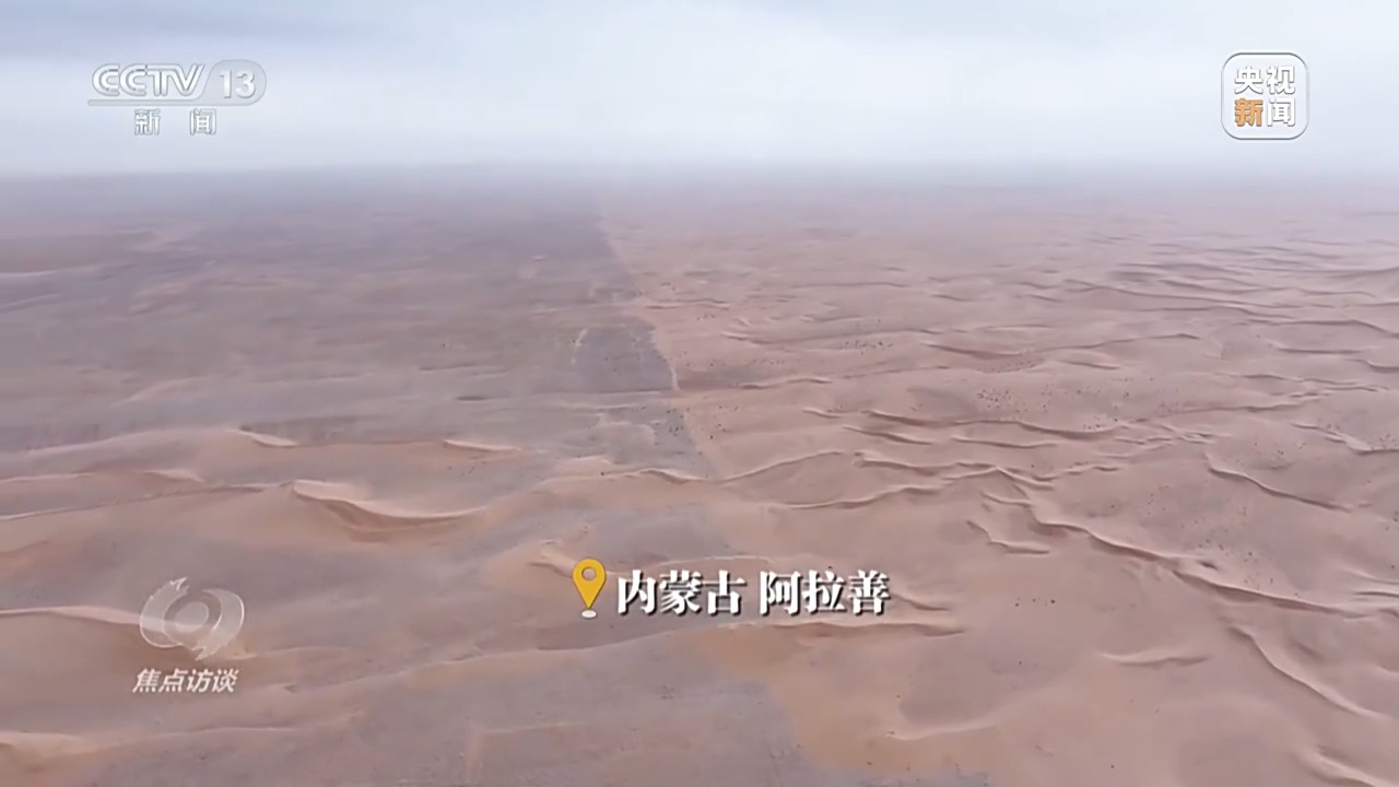 焦点访谈丨让荒漠添绿又生金 看“三北”的生态蝶变